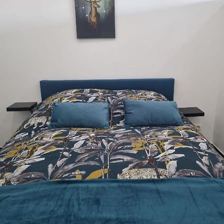Les Mirabelles Appartement Metz Buitenkant foto